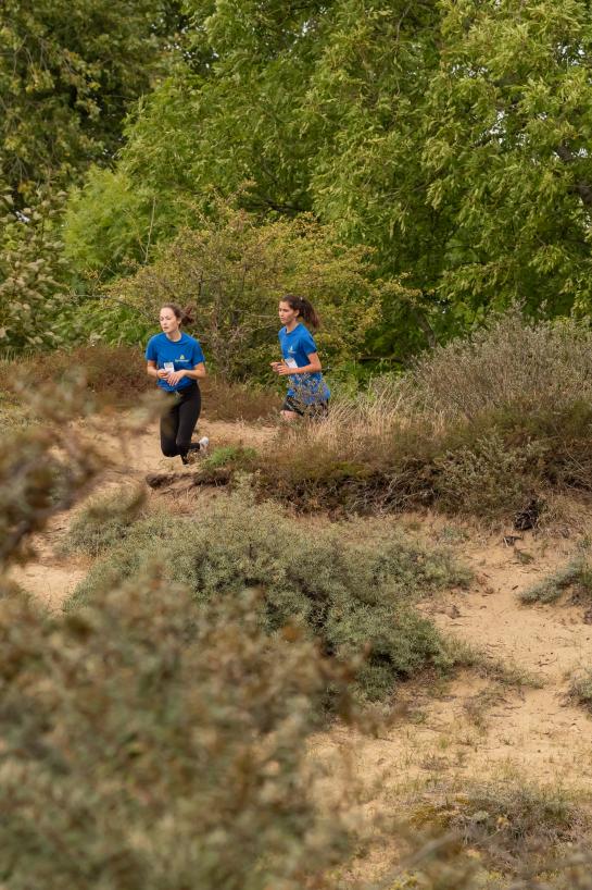Lopers in de duinen