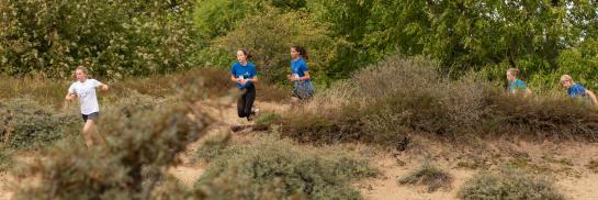 Lopers in de duinen